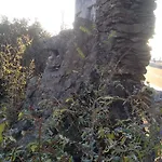 Casa Cuore Di Leone *